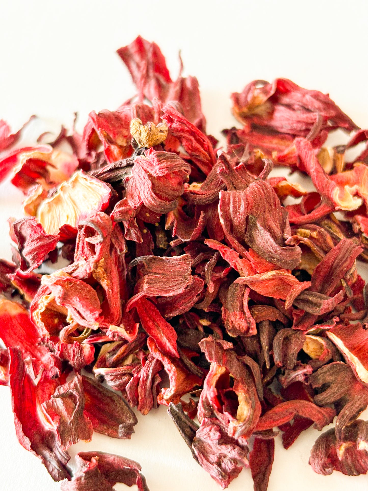FLOR DE JAMAICA O HIBISCUS