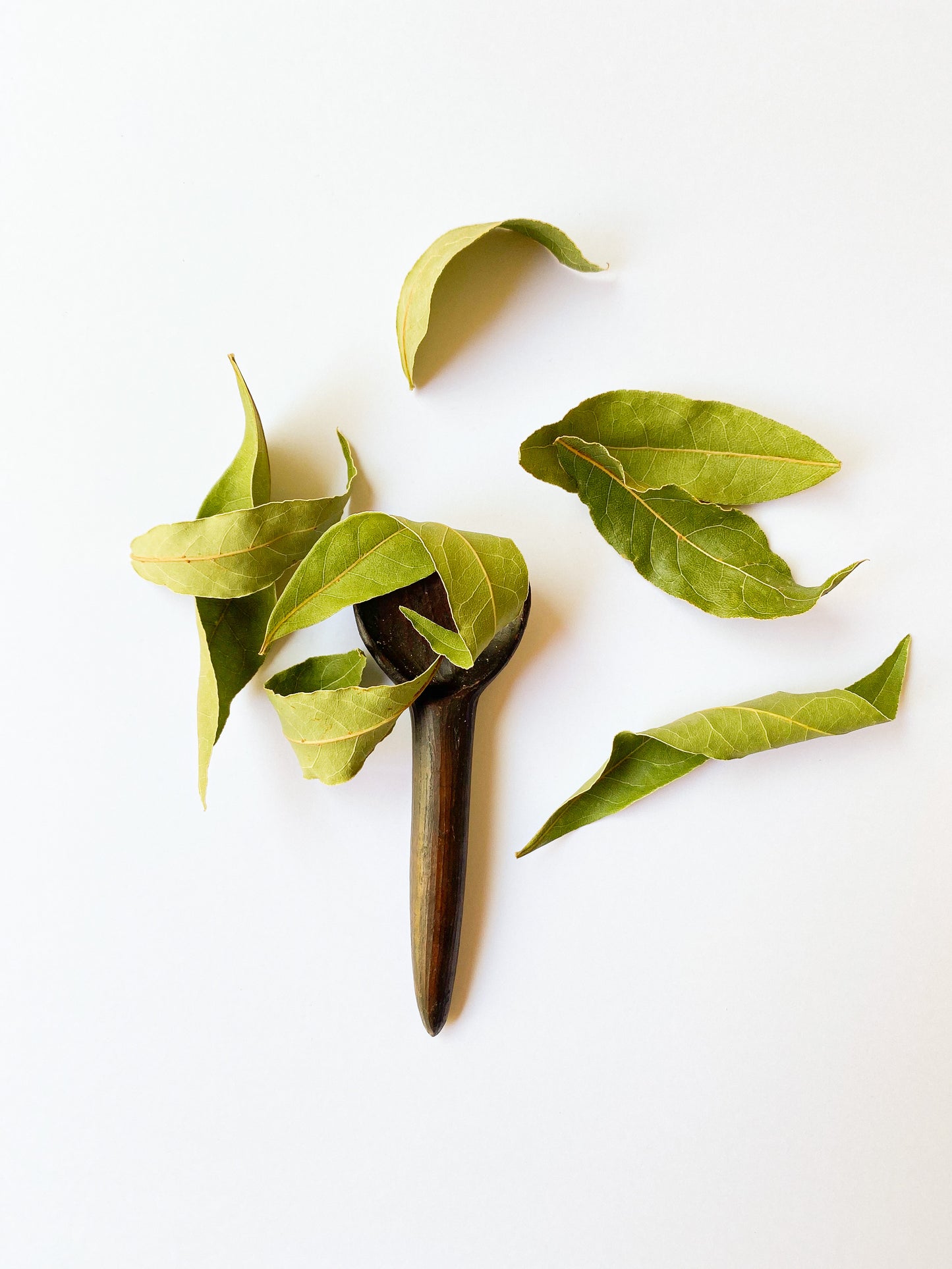 LAUREL